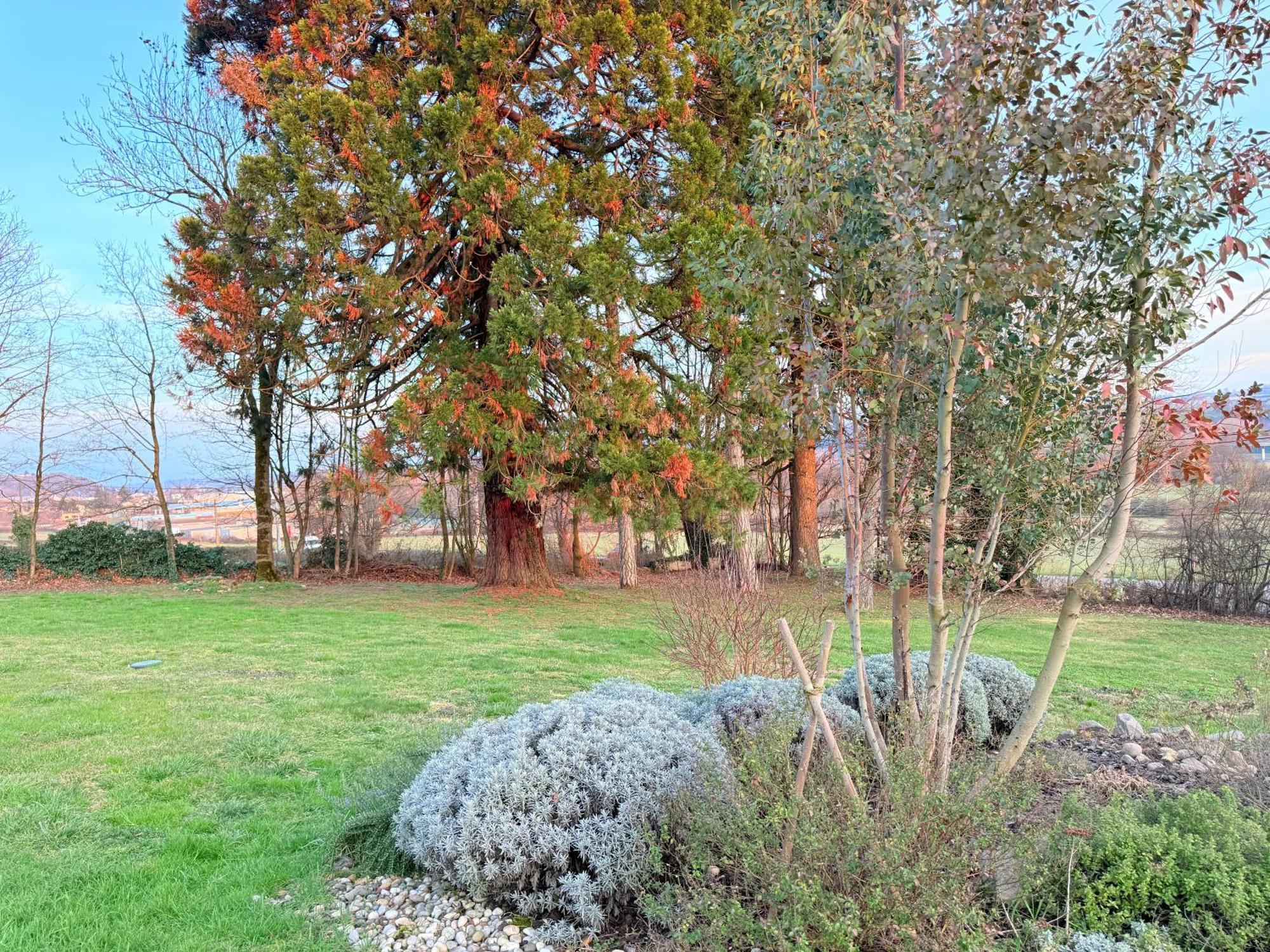 Harmonie Villa *
